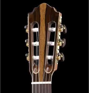 سفارش آنلاین گیتار کلاسیک کارل هافنر